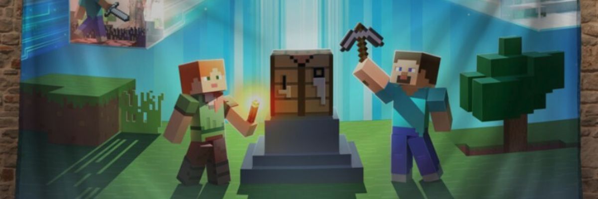 Kolekcja ubrań i dekoracji z serii Minecraft / Minecraft