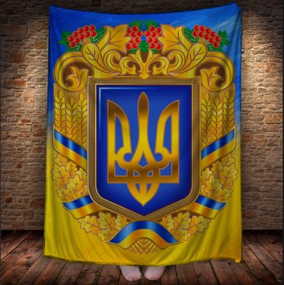 Плед з 3D принтом - Україна 1623962924 фото