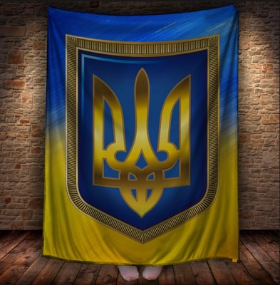 Плед з 3D принтом - Україна 1623962950 фото