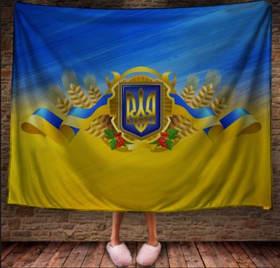 Плед з 3D принтом - Україна 1623963237 фото