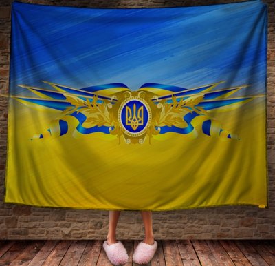 Плед з 3D принтом - Україна 1623963265 фото