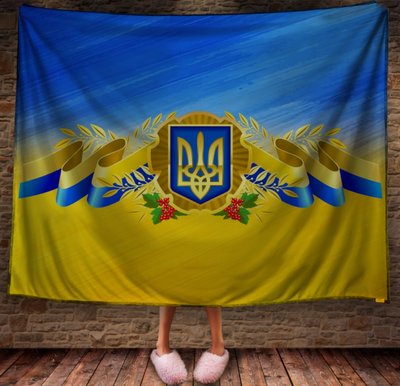 Плед з 3D принтом - Україна 1623964690 фото