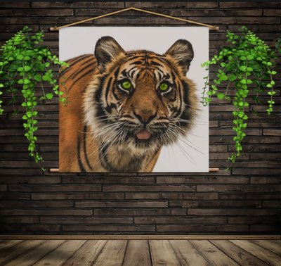 Мобільна картина-постер (гобелен)на тканині з 3D з принтом Тигр 2023708289 фото