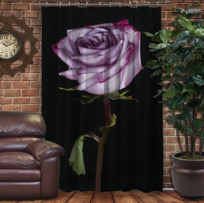 Штора 3D з принтом-Тендітна троянда 1283659638 фото