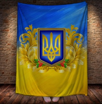 Плед з 3D принтом - Україна 1623962848 фото